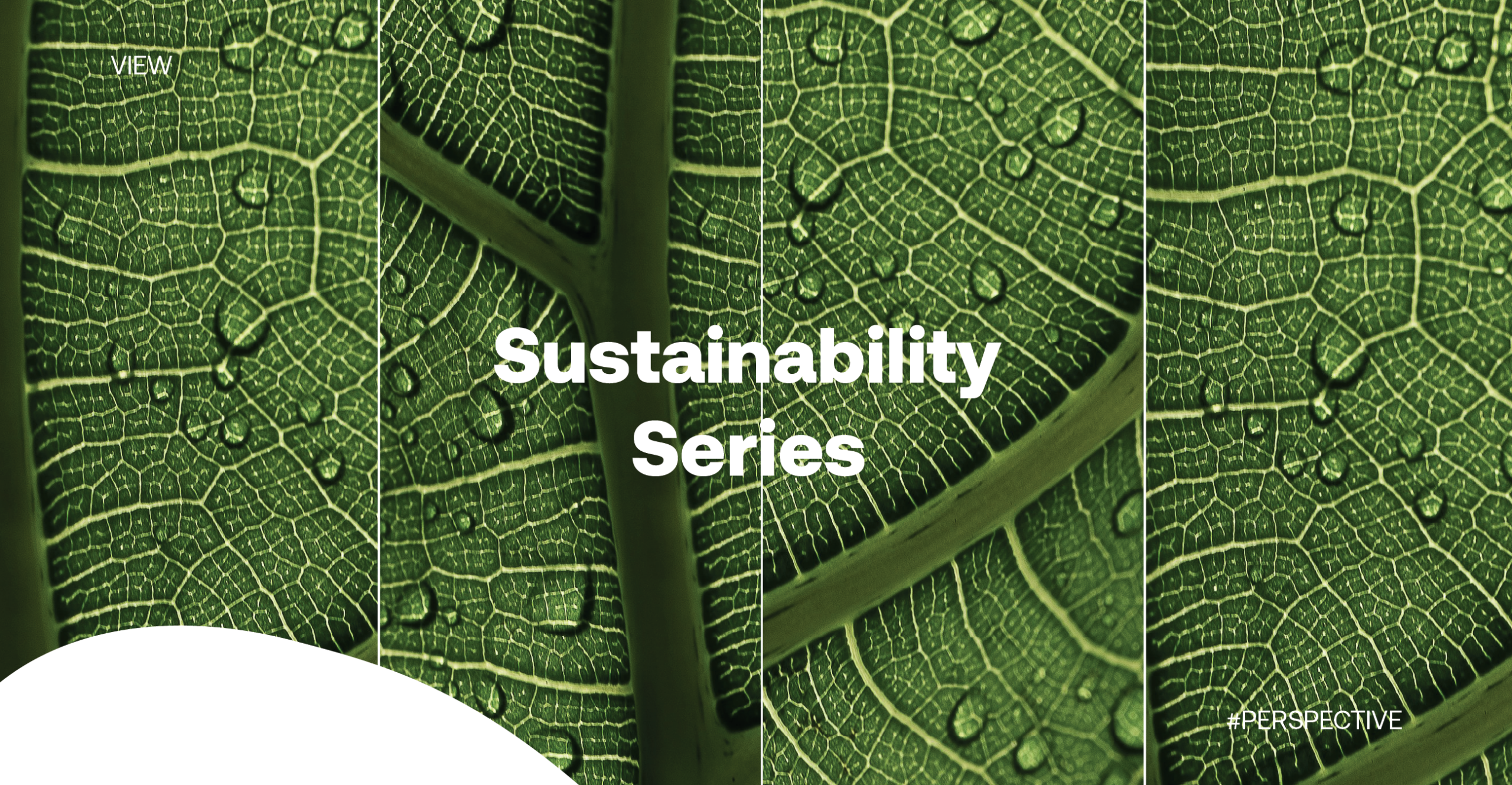 Shape_sustainability_blog_1350x2600-2